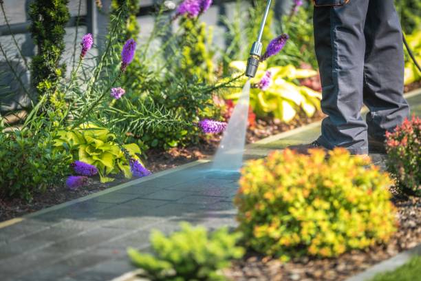 Best Soft Washing for Delicate Surfaces in Hooks, TX